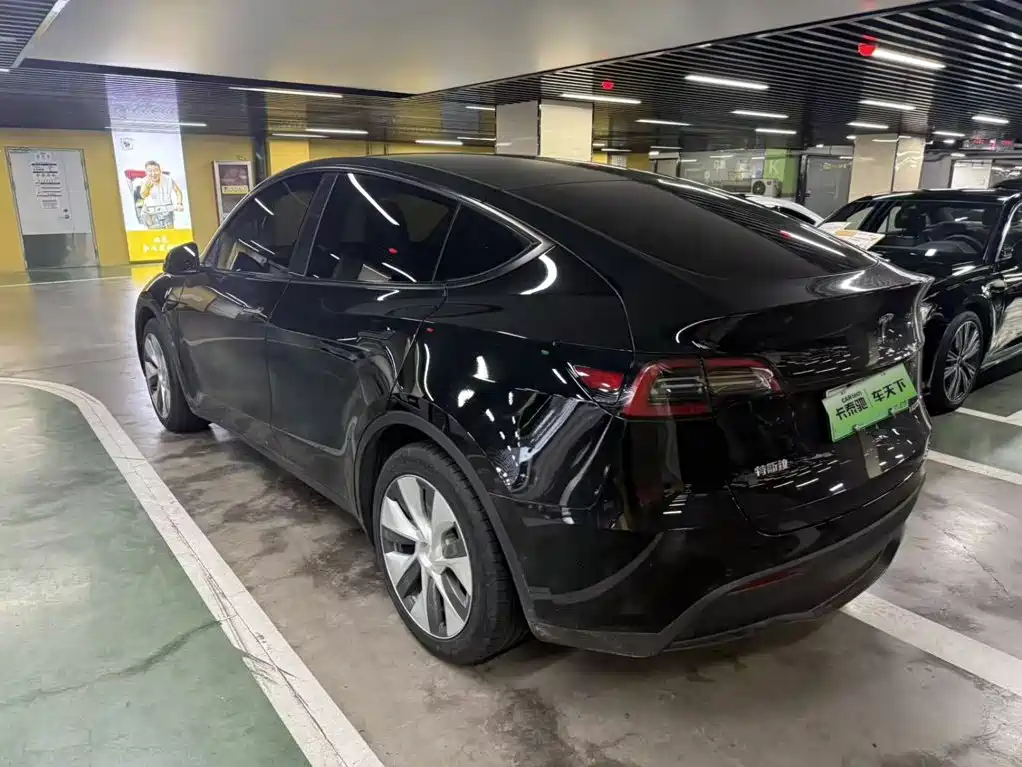 Tesla Model Y — миниатюра 5
