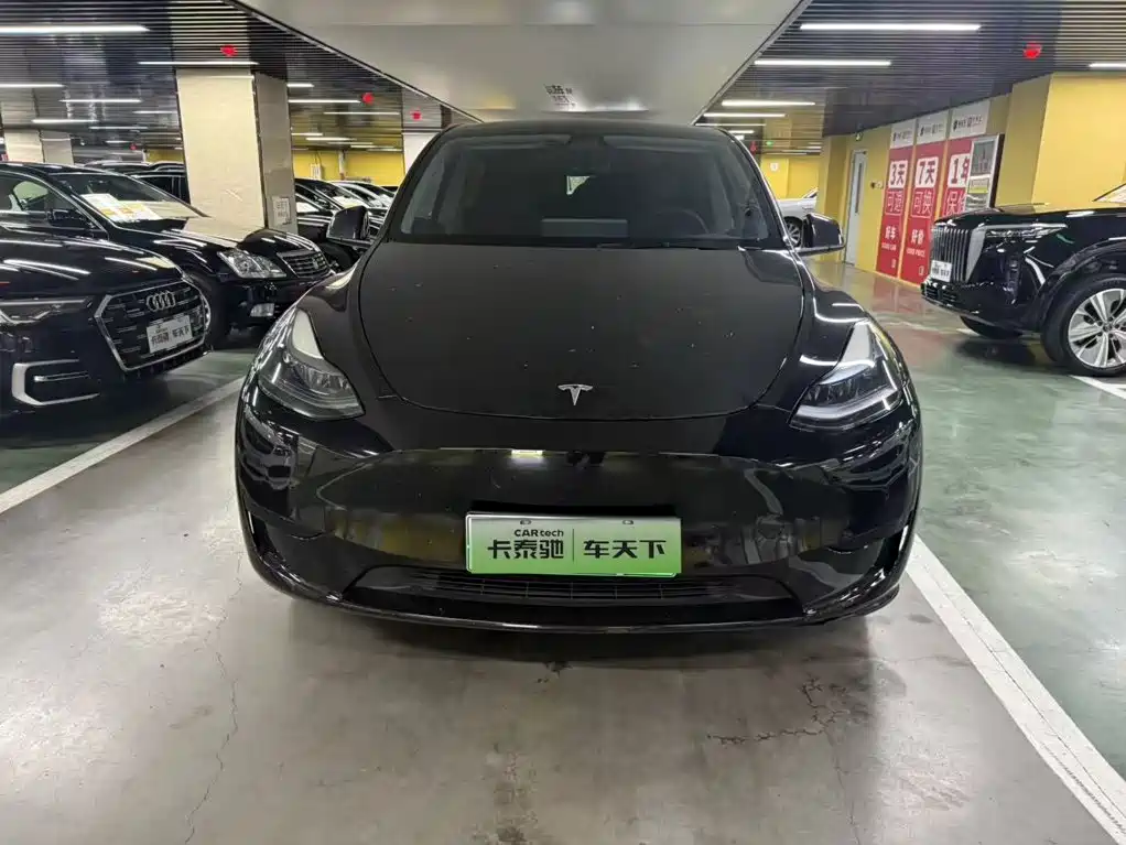 Tesla Model Y — миниатюра 3