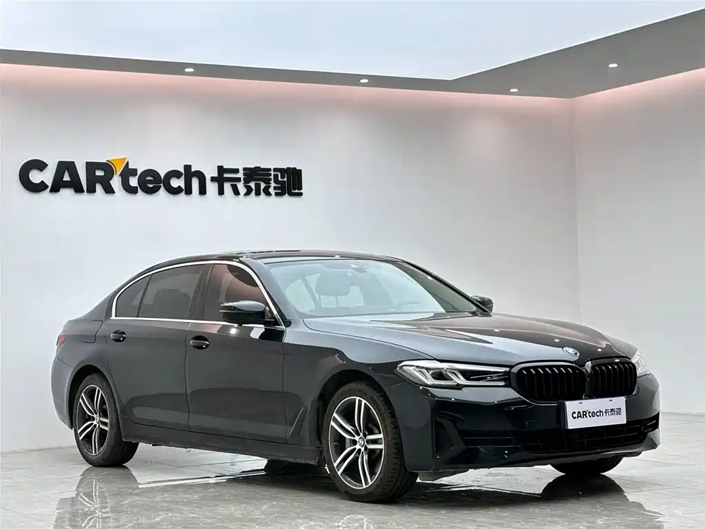 BMW 5 Series 5 2021 530Li Lead Luxury