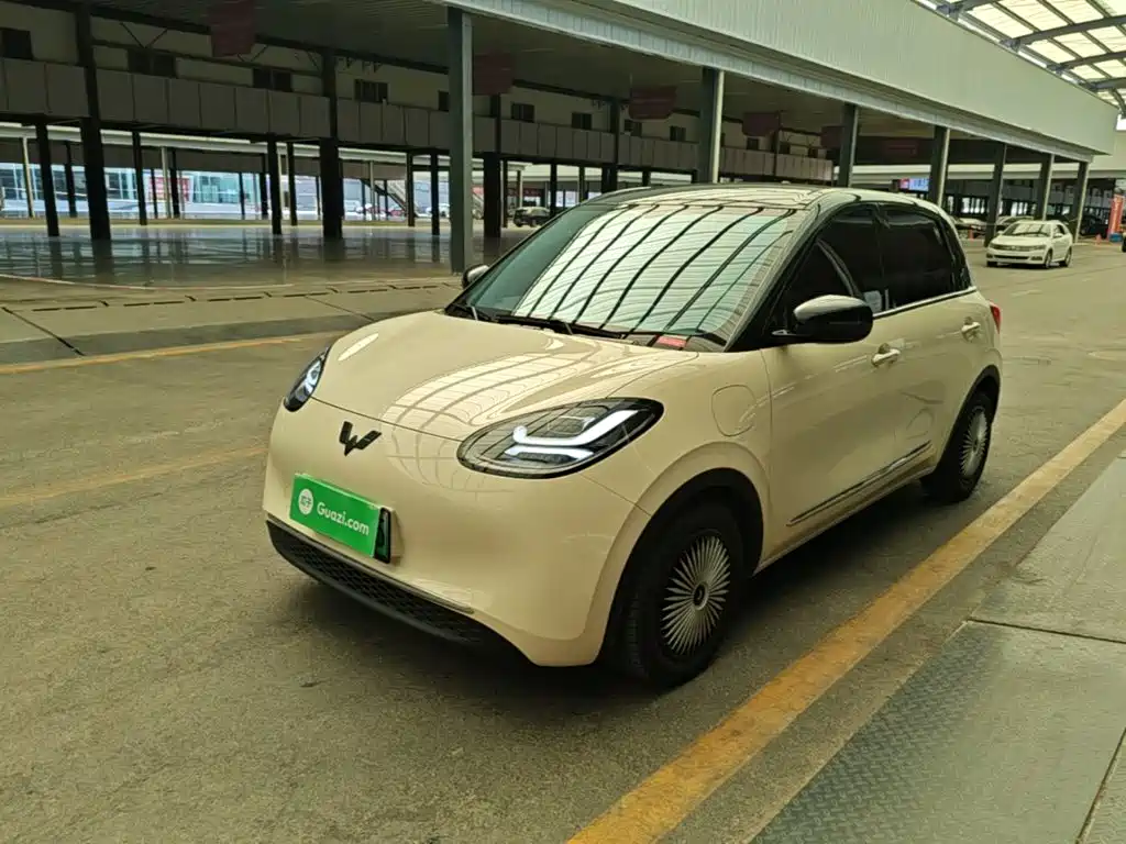 Wuling Binguo