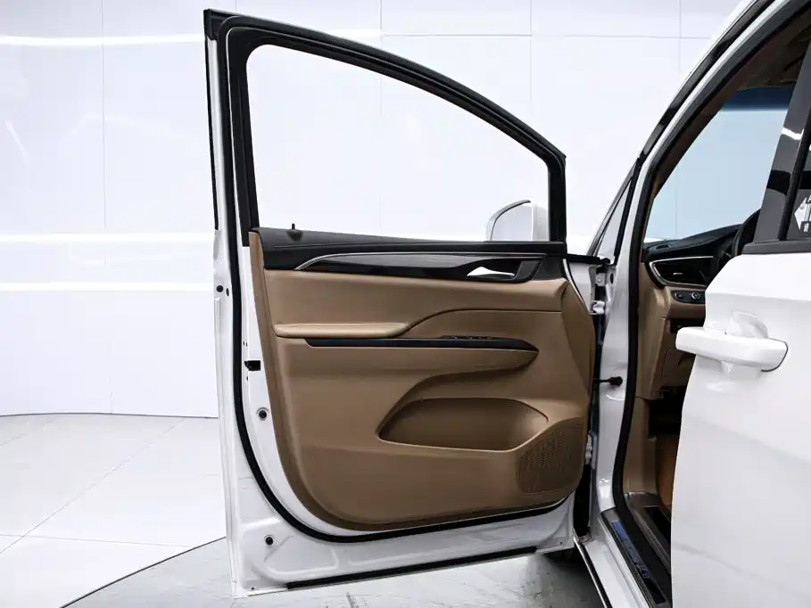 Buick GL8 — миниатюра 12
