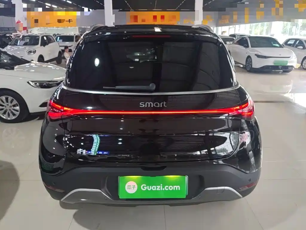 Smart #1 2022 Pulse