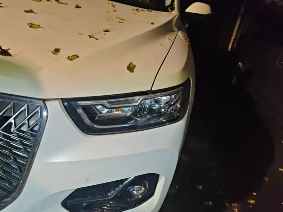 Haval H6 — миниатюра 5