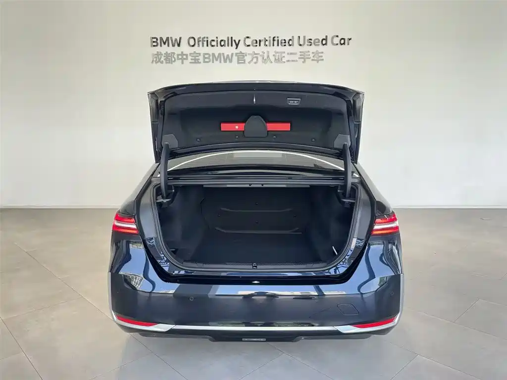 BMW 5 Series 5 2024 530Li Lead Luxury