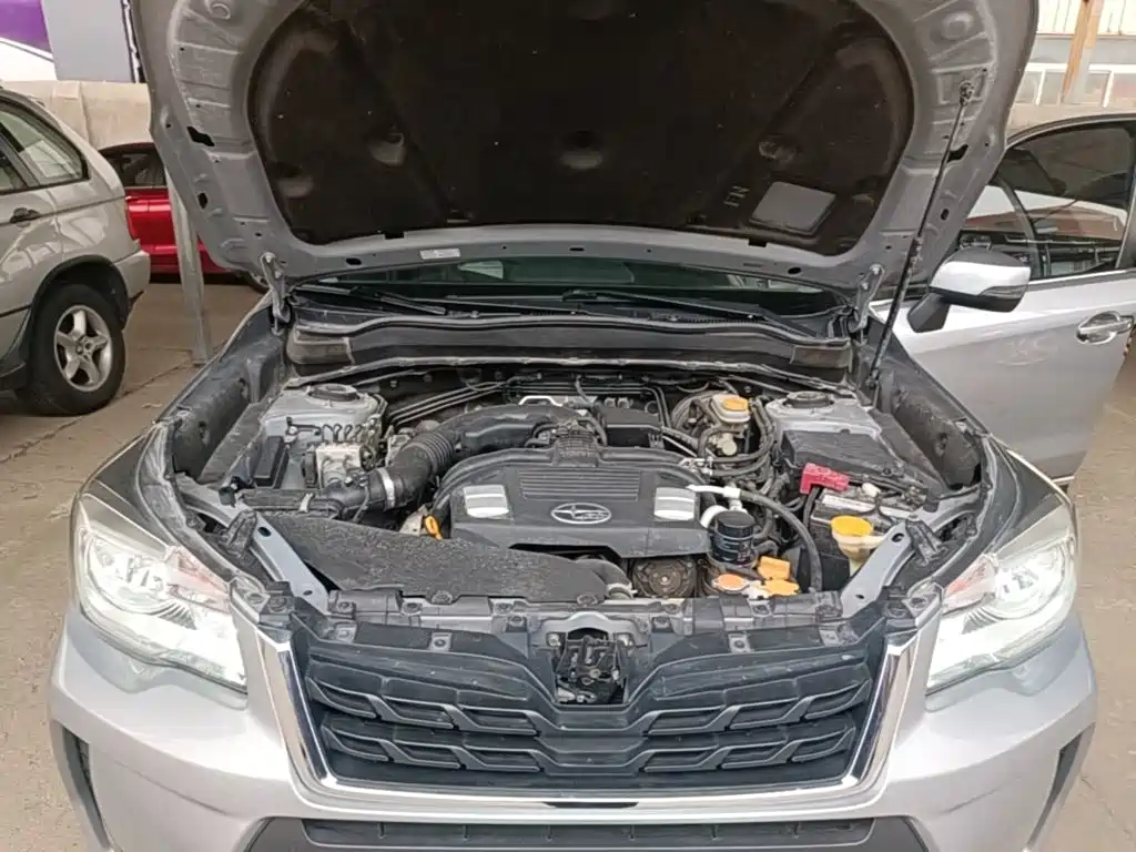 Subaru Forester — миниатюра 20