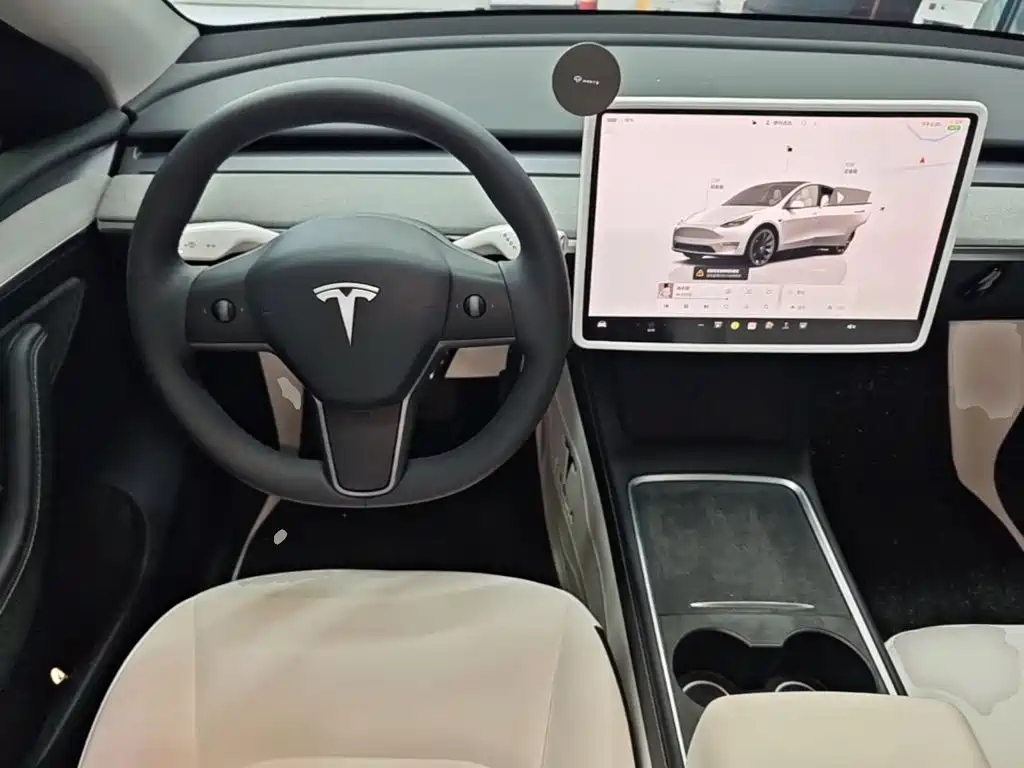 Tesla Model Y — миниатюра 11