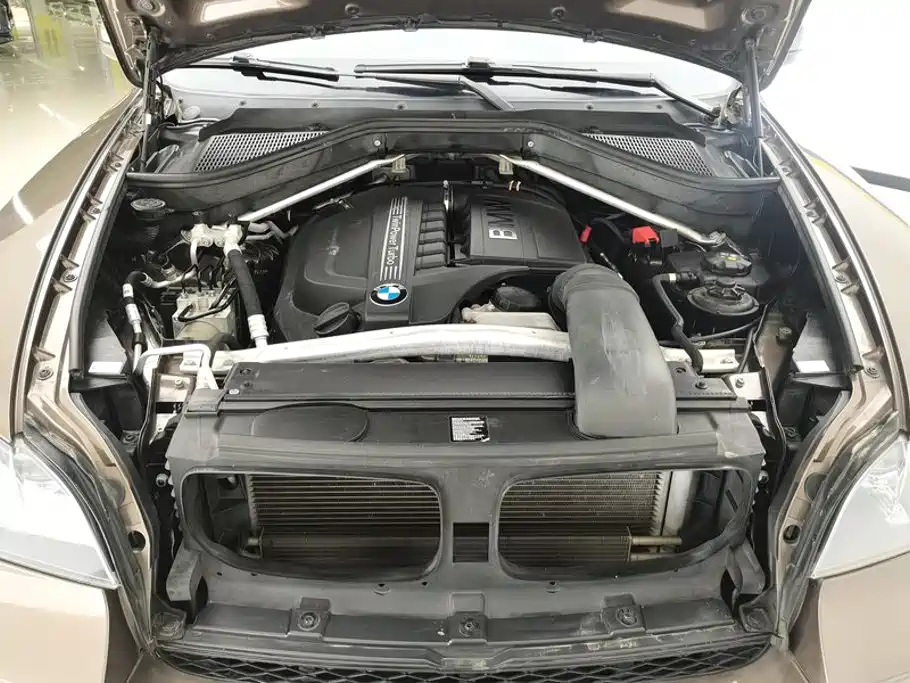 BMW X5 (Import) — миниатюра 10