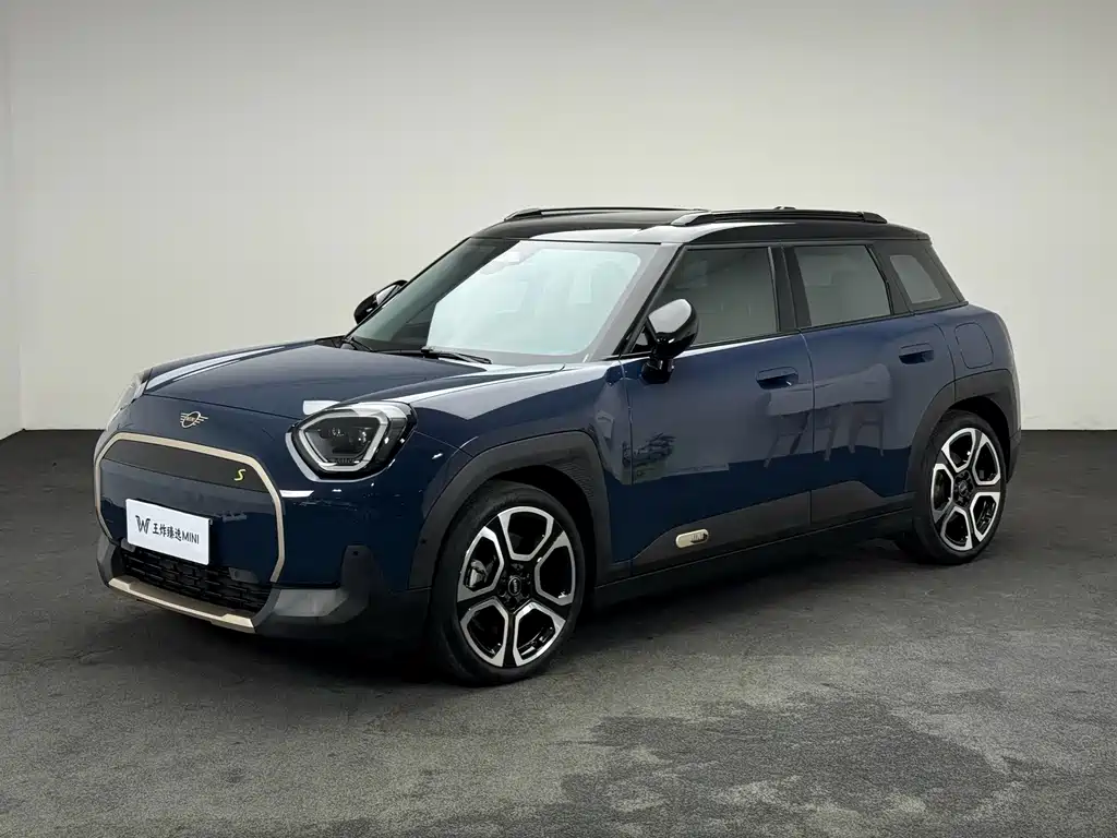 MINI MINI ACEMAN EV