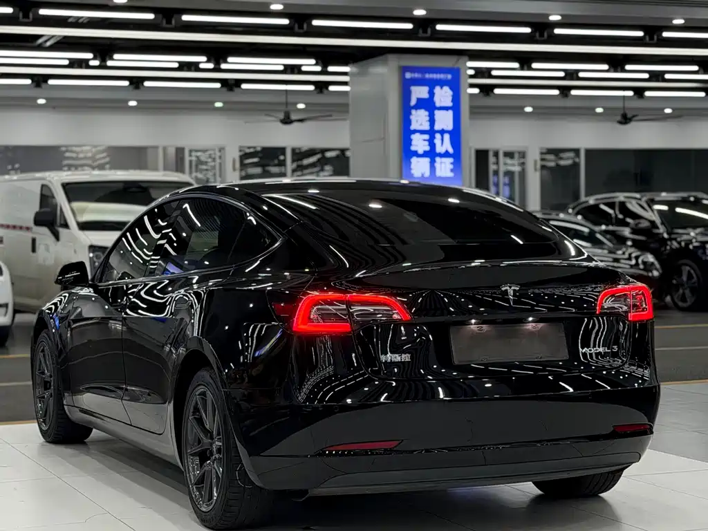 Tesla Model 3 — миниатюра 4