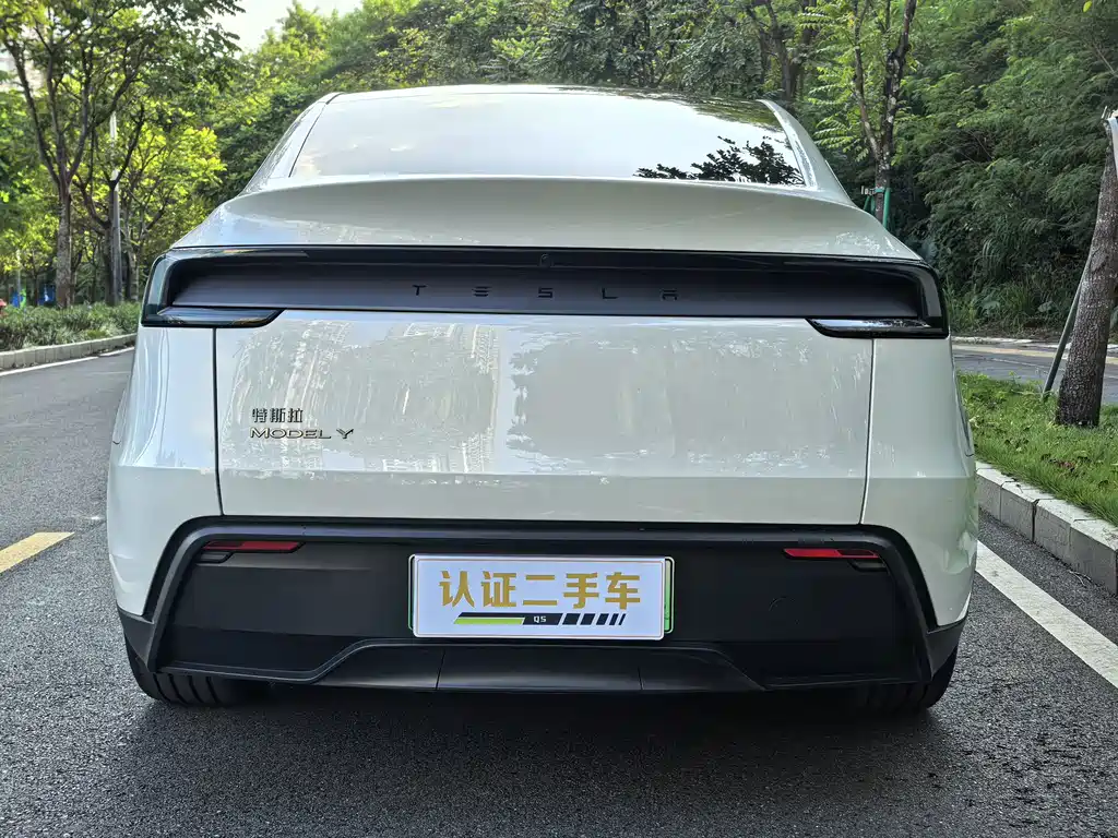 Tesla Model Y — фотографии объявления, Фото 7