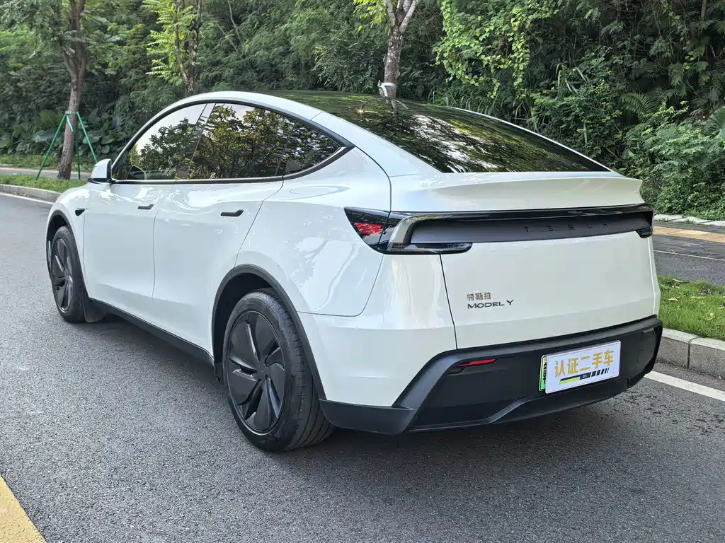 Tesla Model Y — фотографии объявления, Фото 8