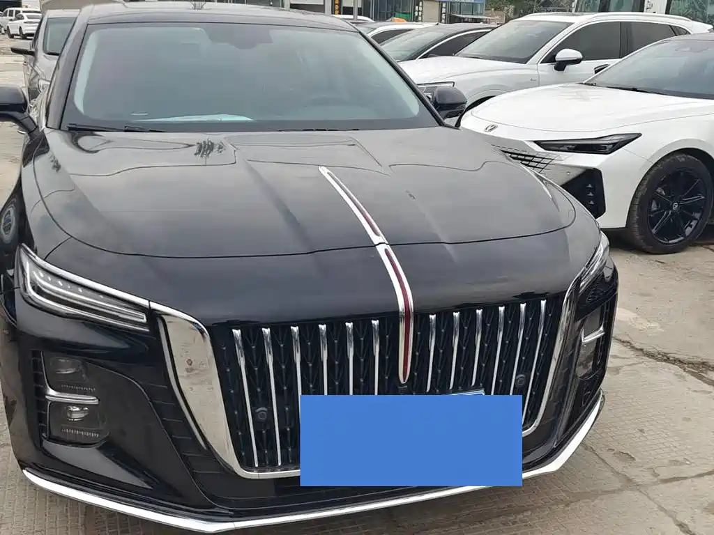 Hongqi Hongqi H5 — миниатюра 2