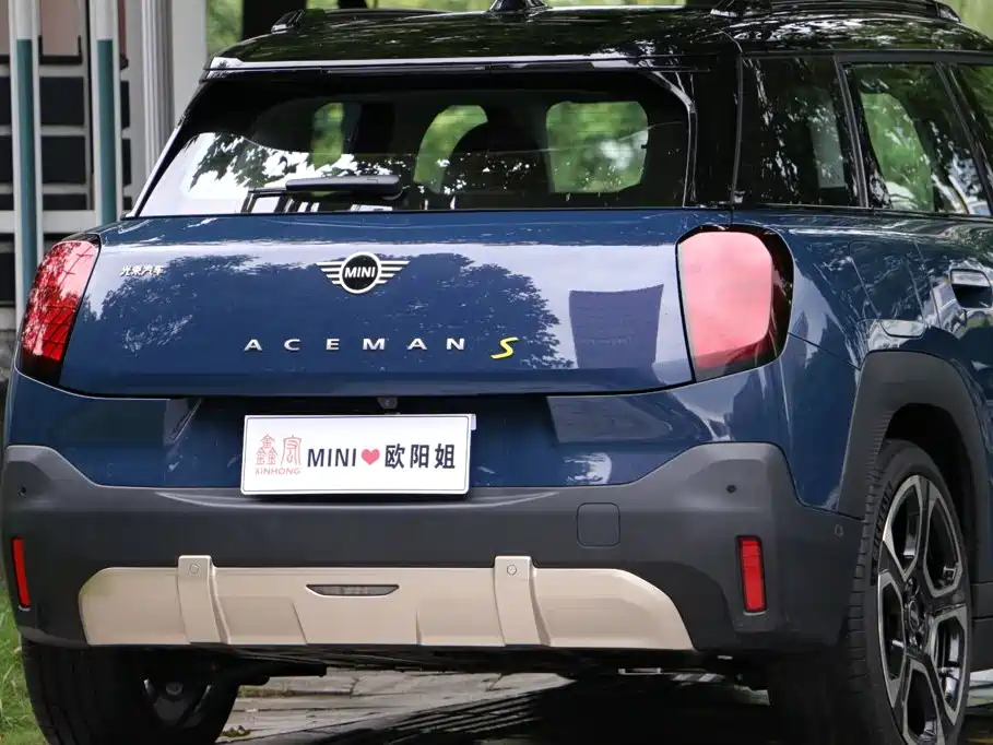 MINI MINI ACEMAN EV — миниатюра 31