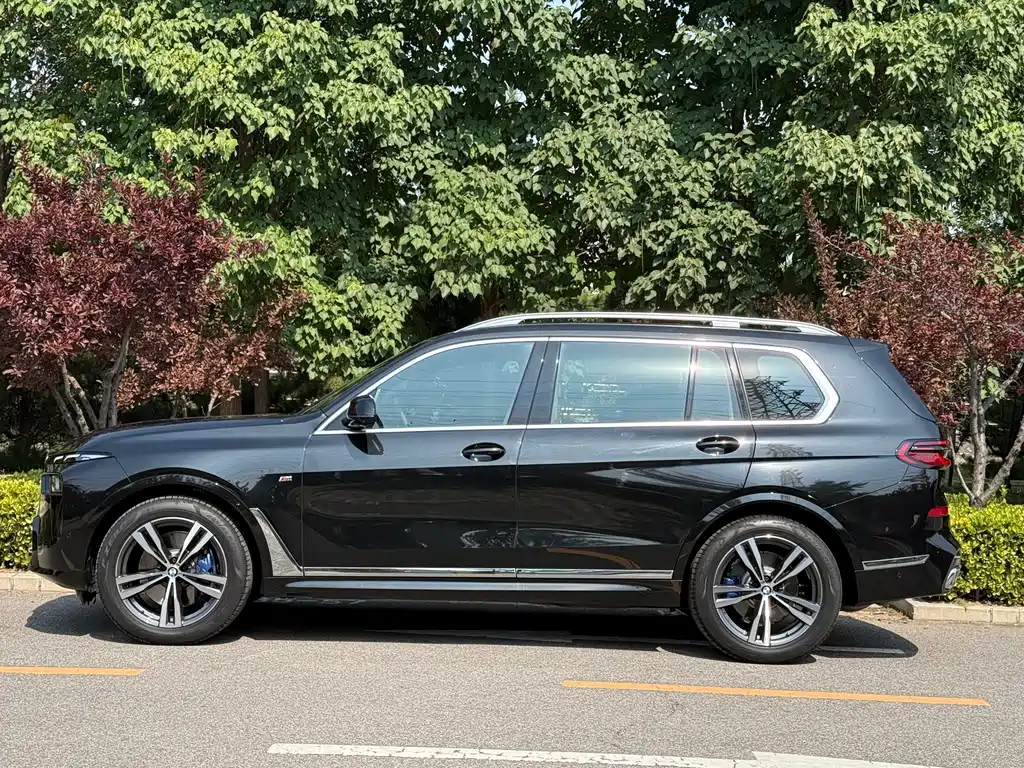 BMW X7 — миниатюра 2