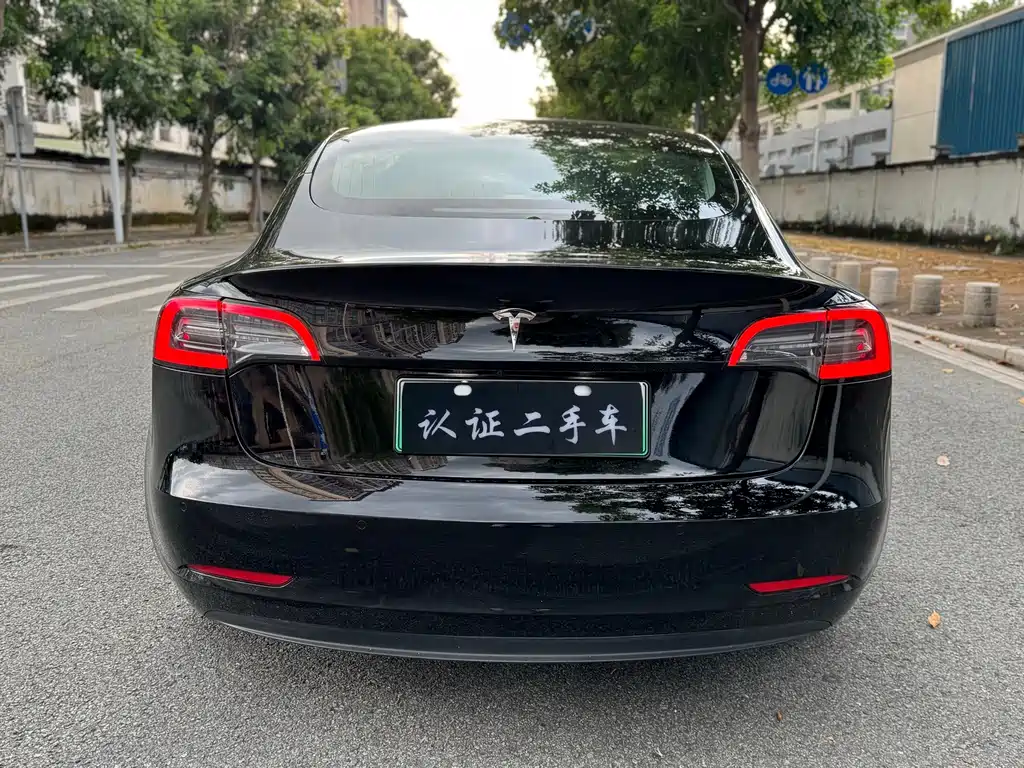 Tesla Model 3 — миниатюра 4