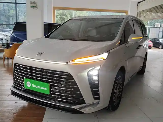 BUICK  GL8 NEW ENERGY 2024