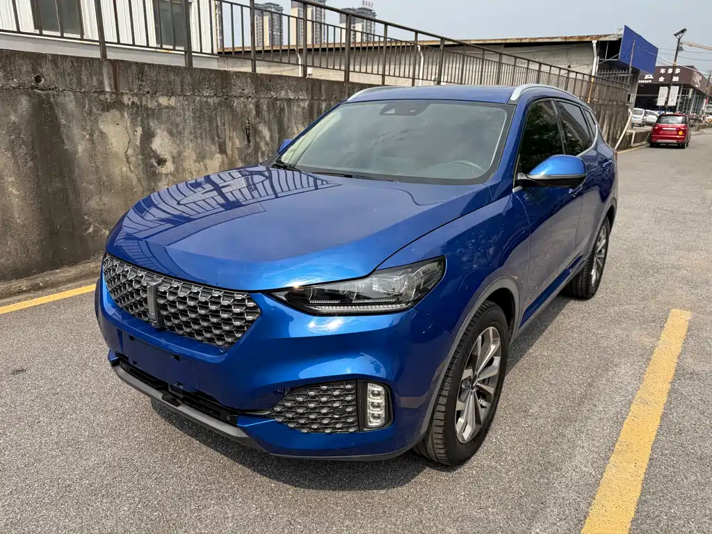 Wey Wey VV6 2020