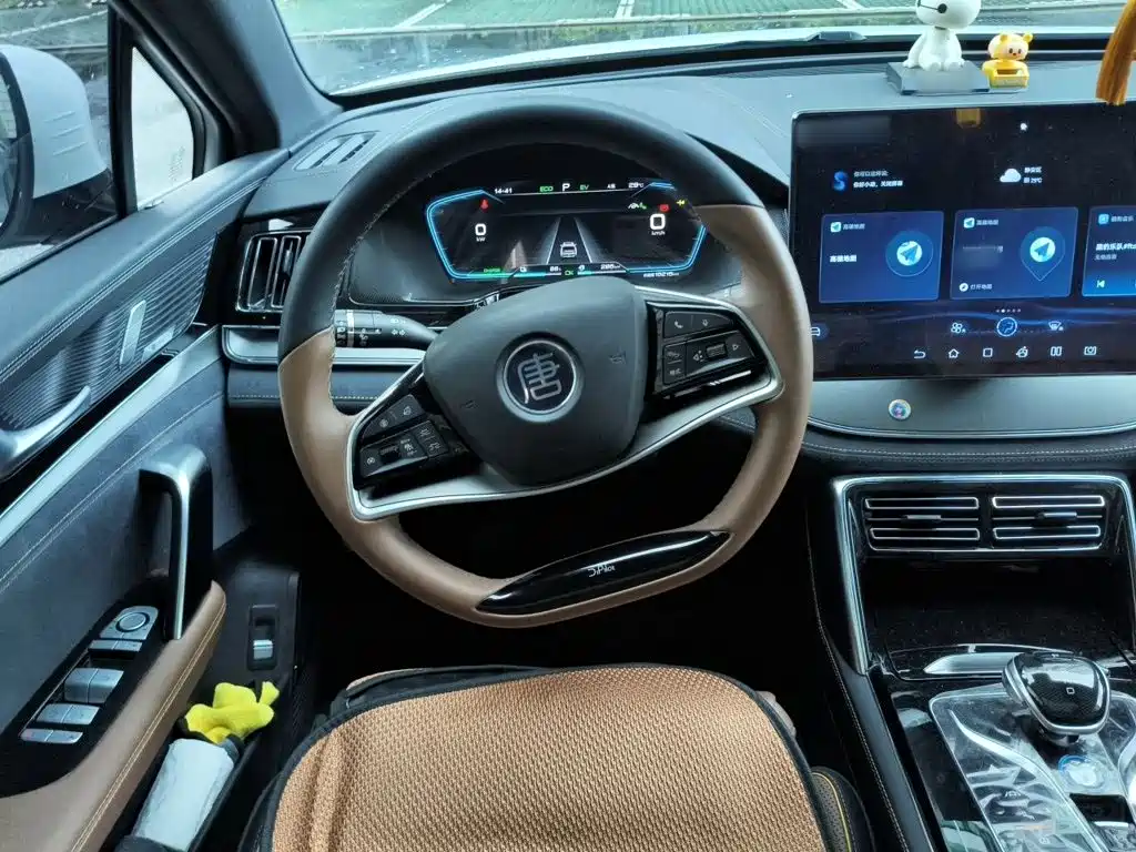 BYD Tang New Energy — миниатюра 3