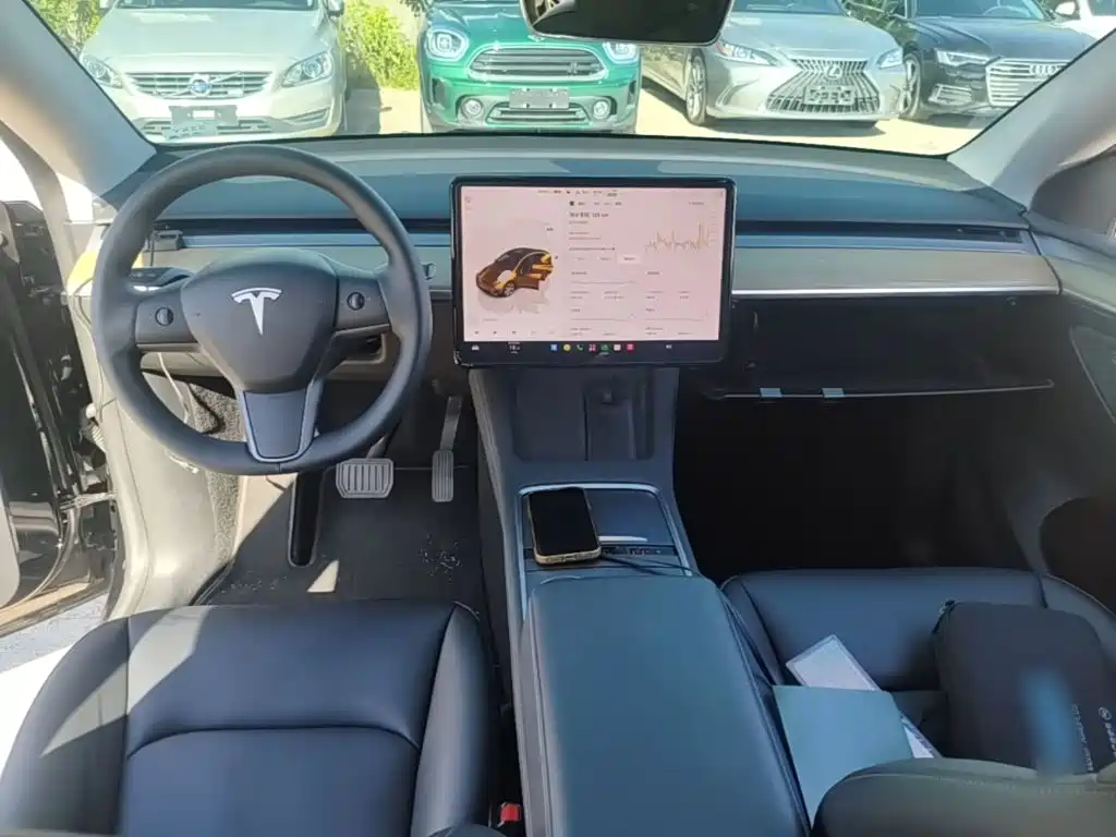 Tesla Model Y — миниатюра 10
