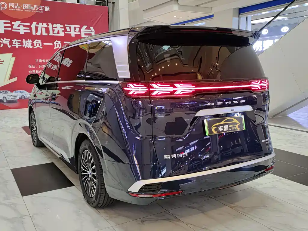 Denza Denza D9 — миниатюра 27