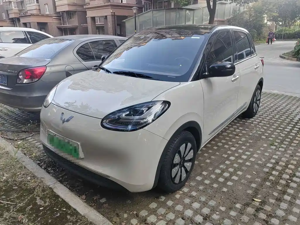 Wuling Bingo