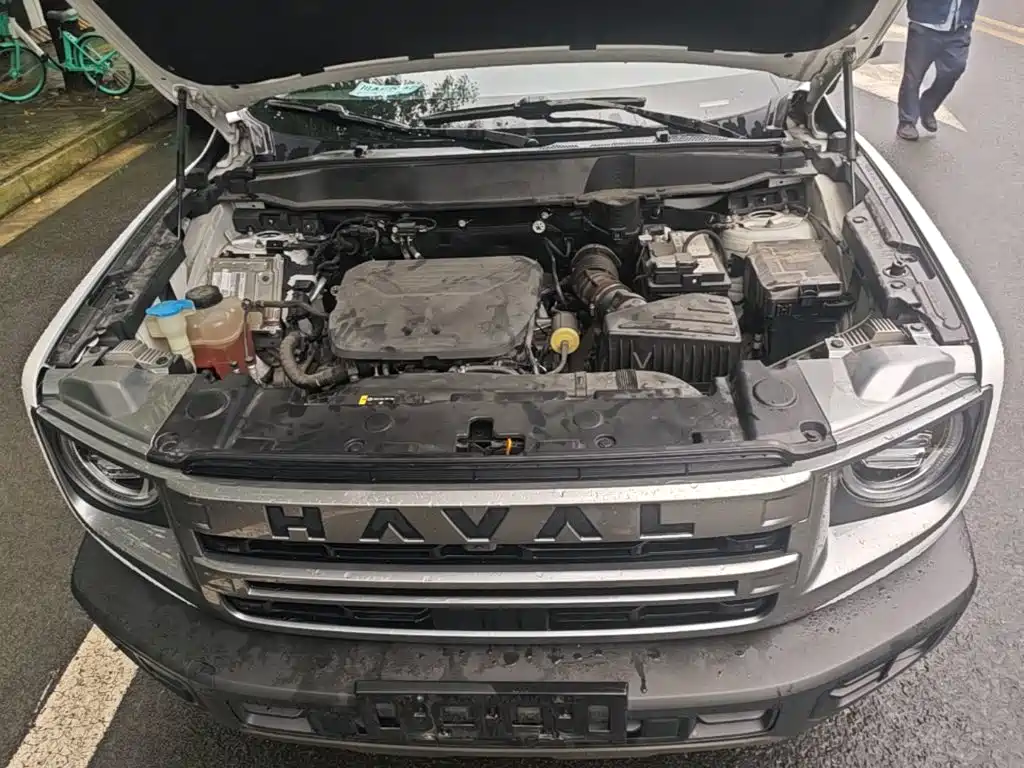 Haval Big Dog — миниатюра 20