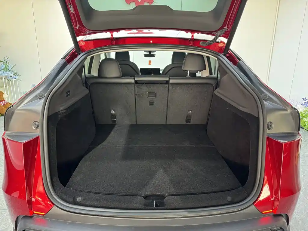 Tesla Model Y — миниатюра 19