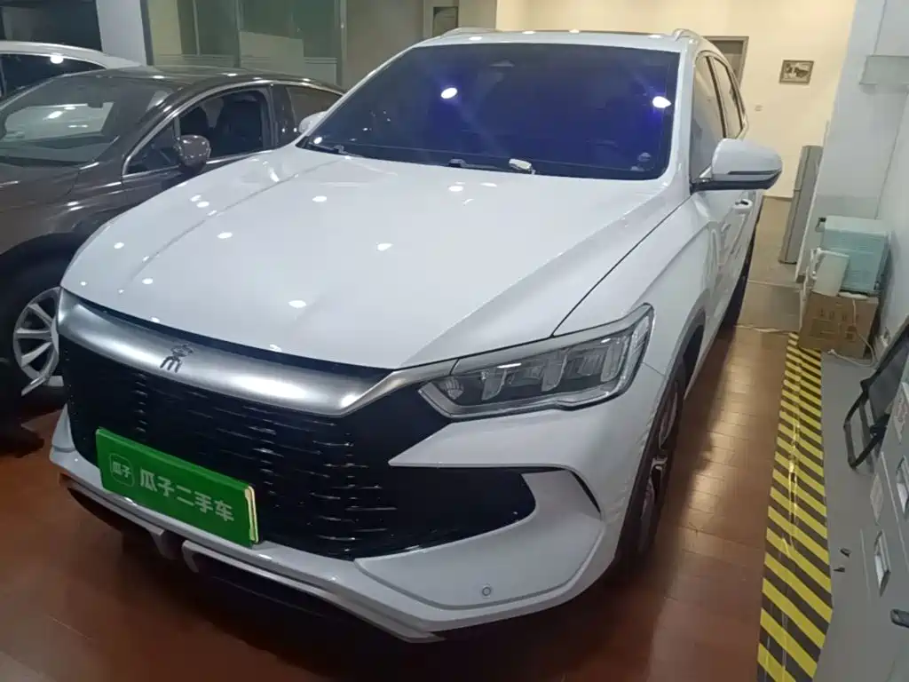 BYD Pro New Energy — миниатюра 2