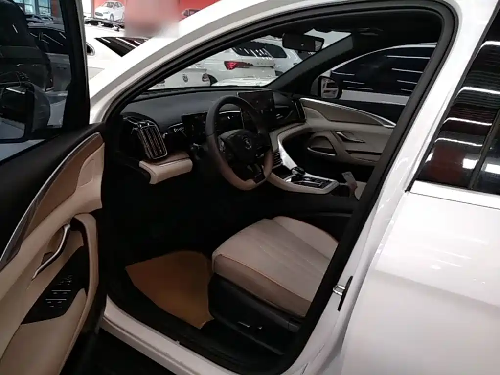 BYD Pro New Energy — миниатюра 16