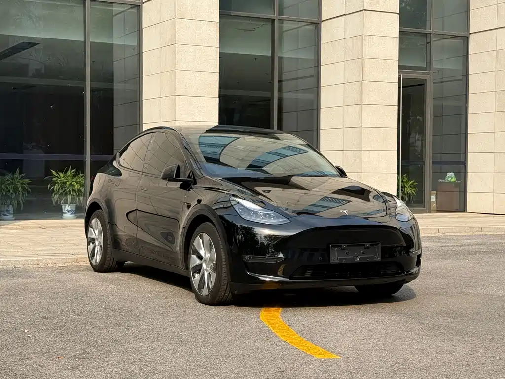 Tesla Model Y — миниатюра 3