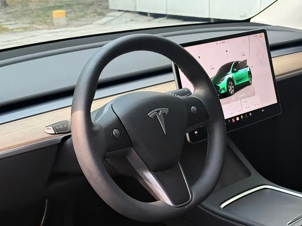 Tesla Model Y — миниатюра 6