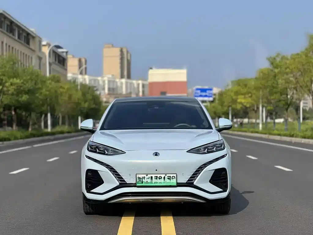 Denza Denza N7 — миниатюра 2