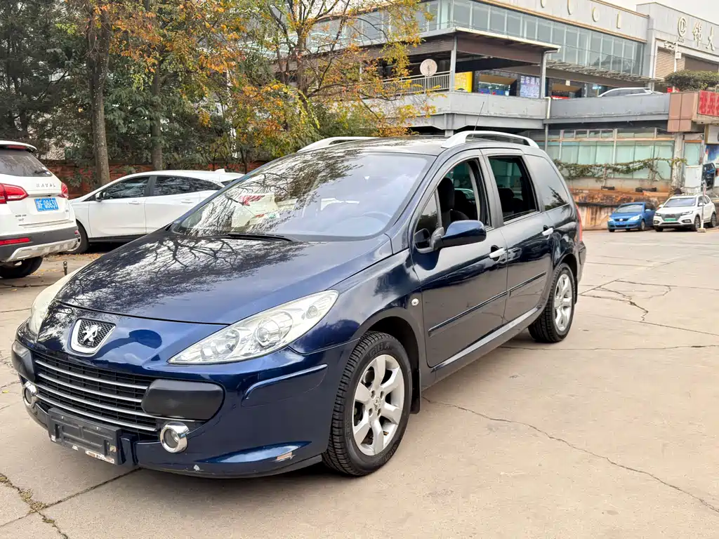 Peugeot 标致307(进口) 2009
