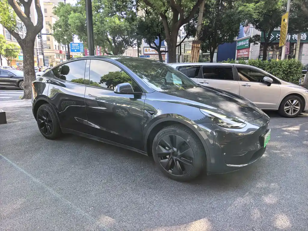 Tesla Model Y — миниатюра 3