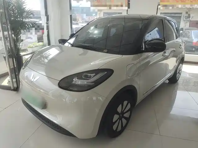 2024 Wuling Motors Binguo