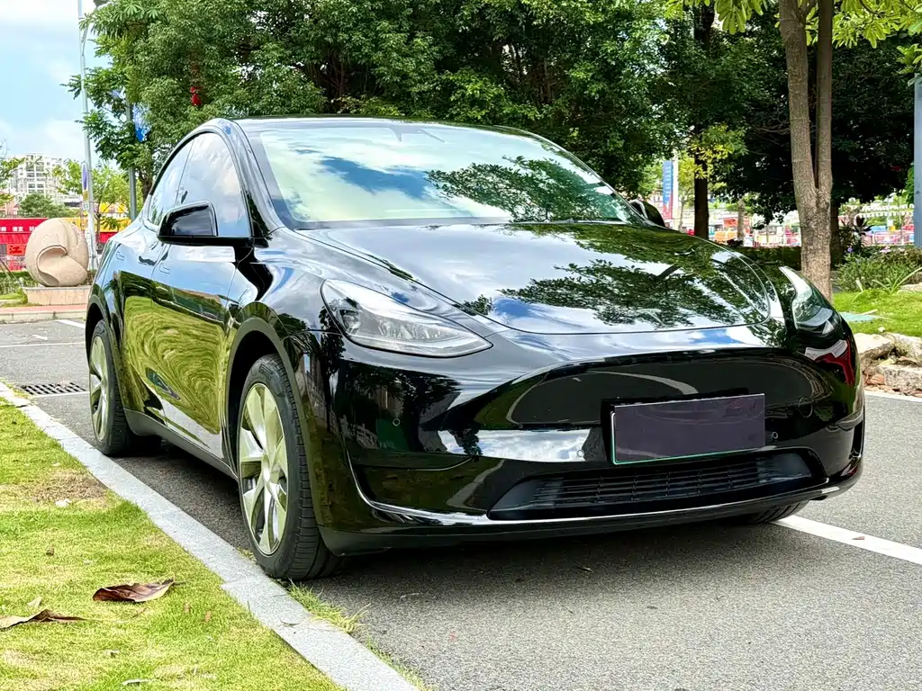 Tesla Model Y — миниатюра 3