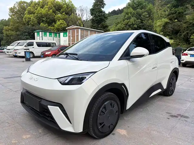 2024 BYD Seagull