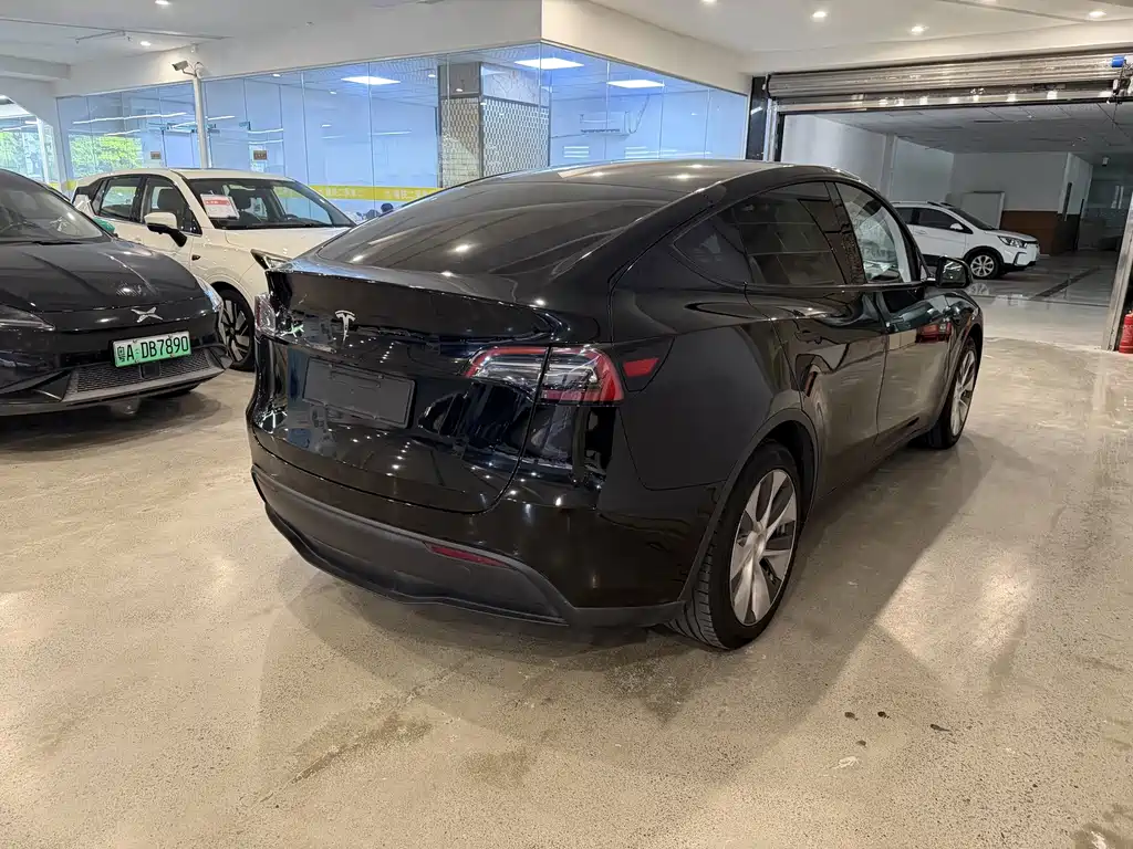 Tesla Model Y — миниатюра 5