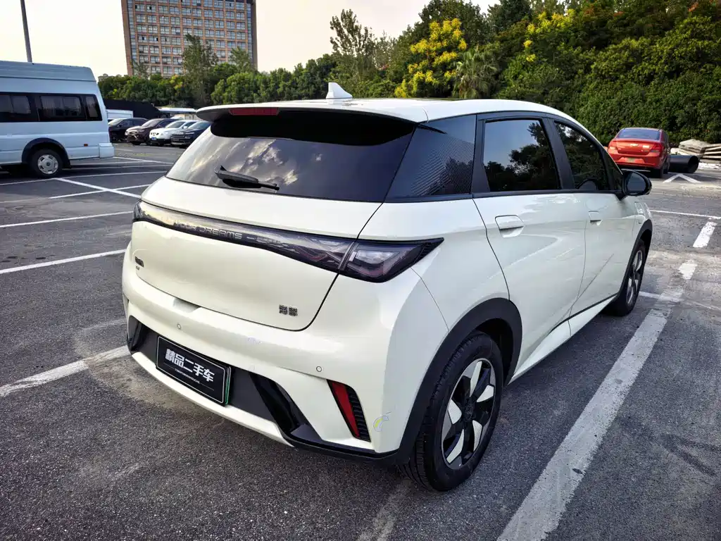 BYD Dolphin — миниатюра 5