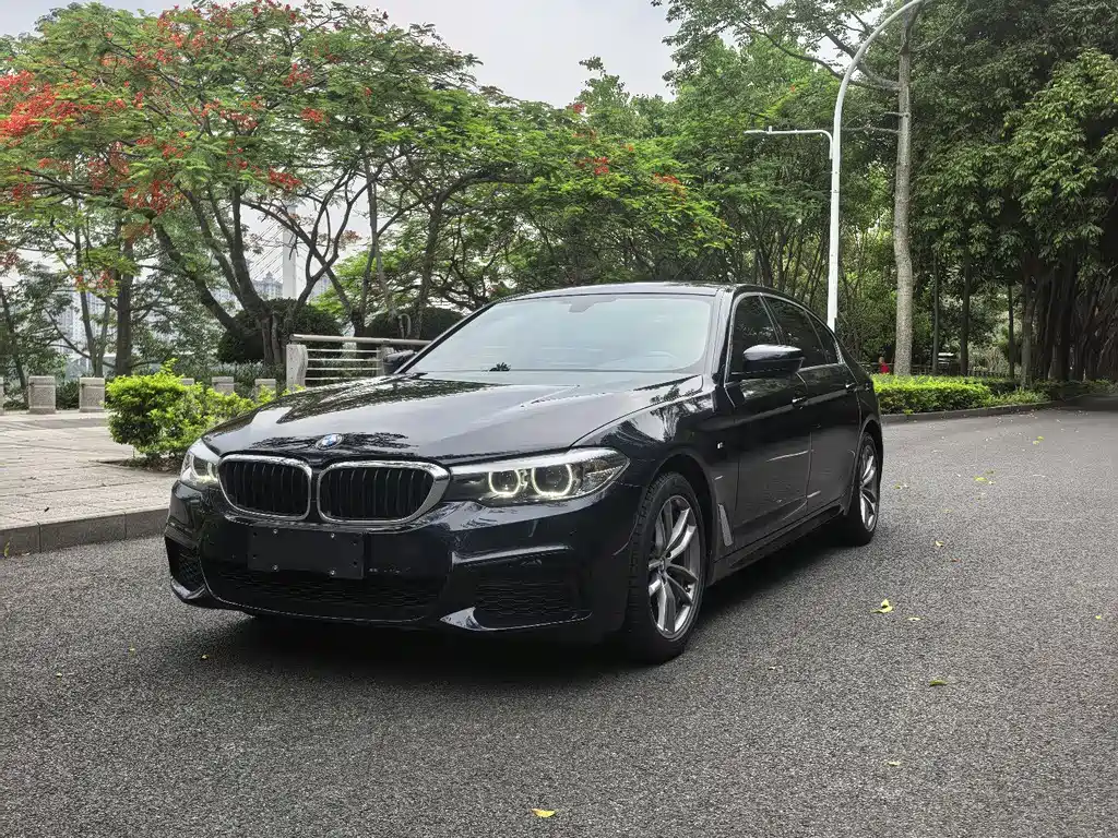 BMW 5 Series 5 2020 525Li M Sport