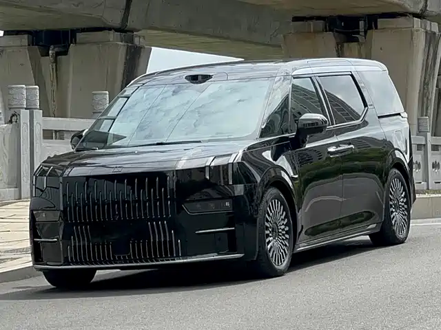 2025 Zeekr 009