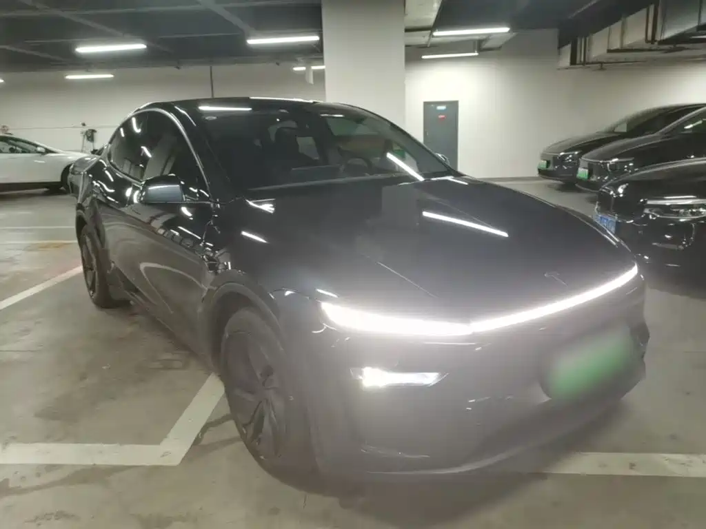Tesla Model Y — миниатюра 4
