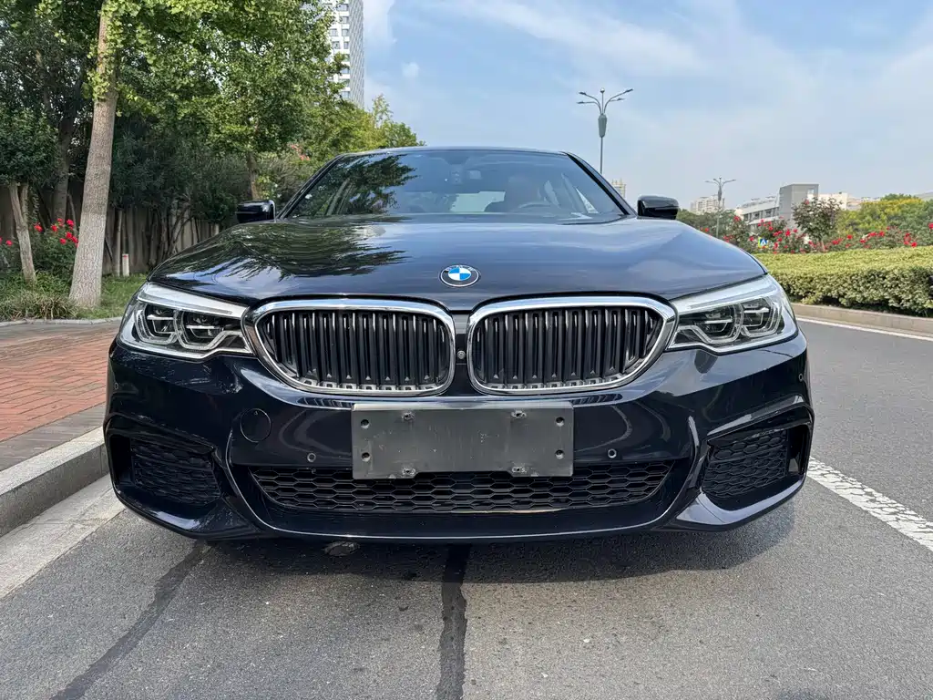 BMW 5 Series 5 2020 530Li Premium M Sport