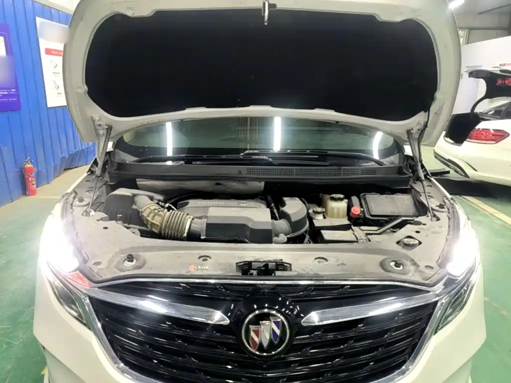 Buick GL8 — миниатюра 20