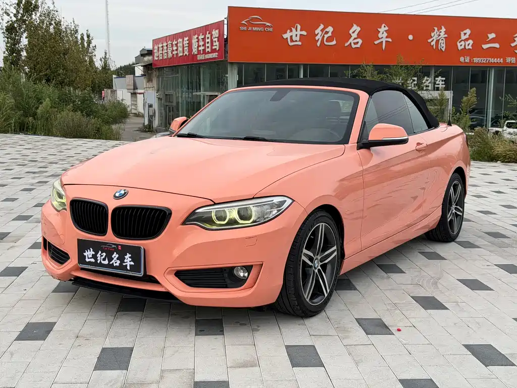 BMW 2 Series (Import)