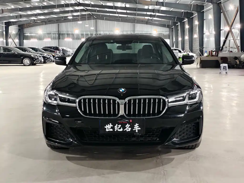 BMW 5 Series — миниатюра 2