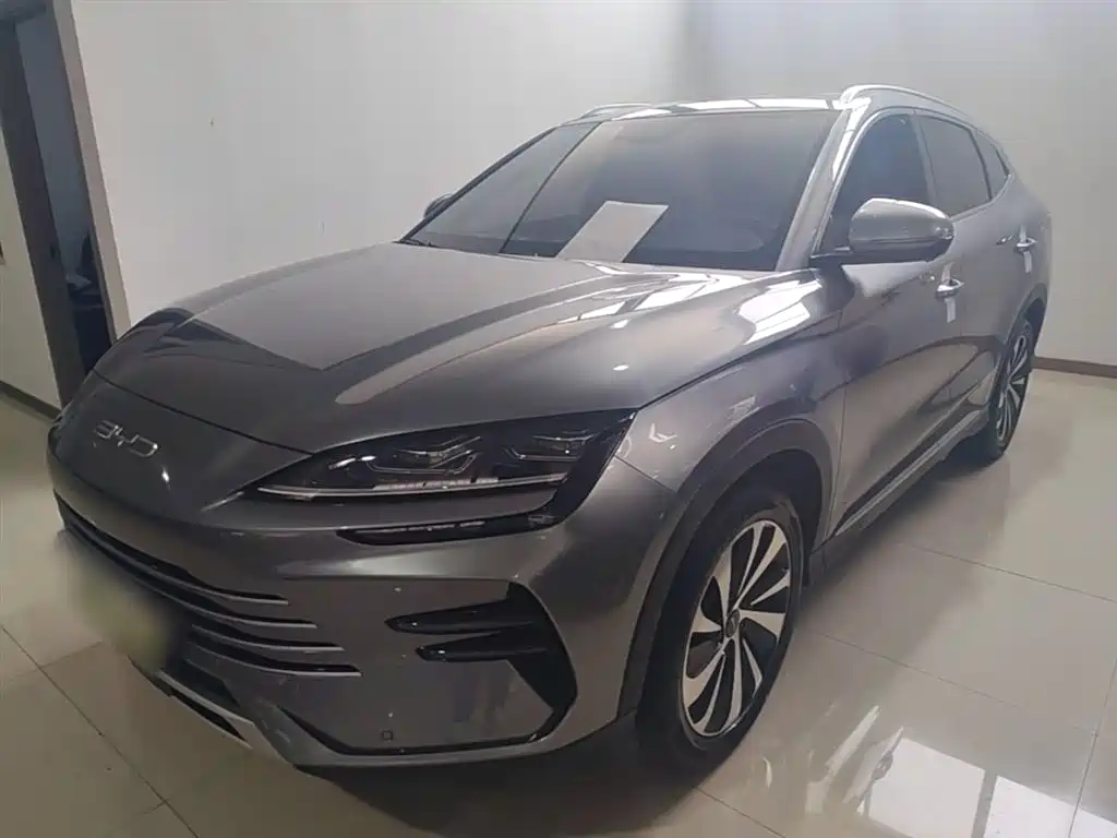 Byd PLUS New Energy 2023