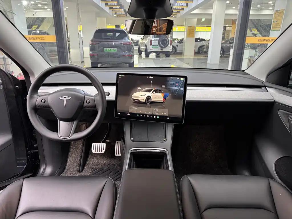 Tesla Model Y — миниатюра 10