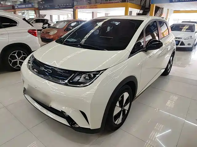 2024 BYD Dolphin
