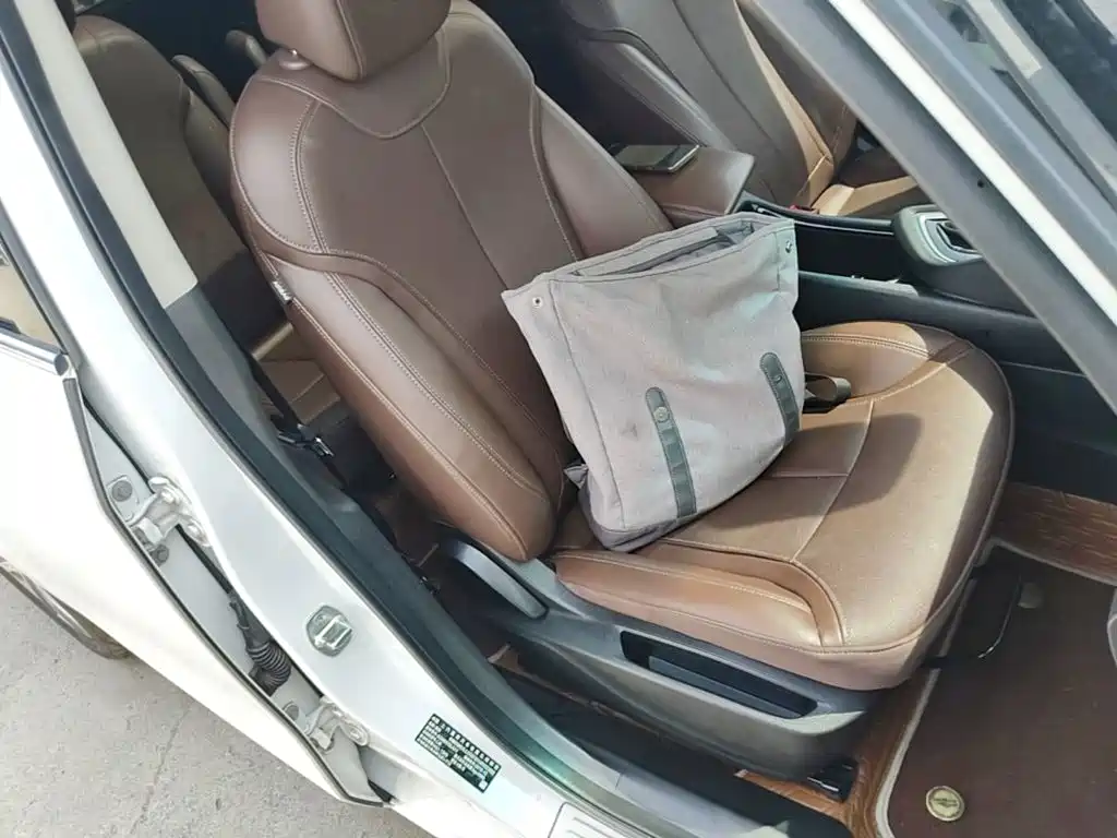 Buick GL6 — миниатюра 25